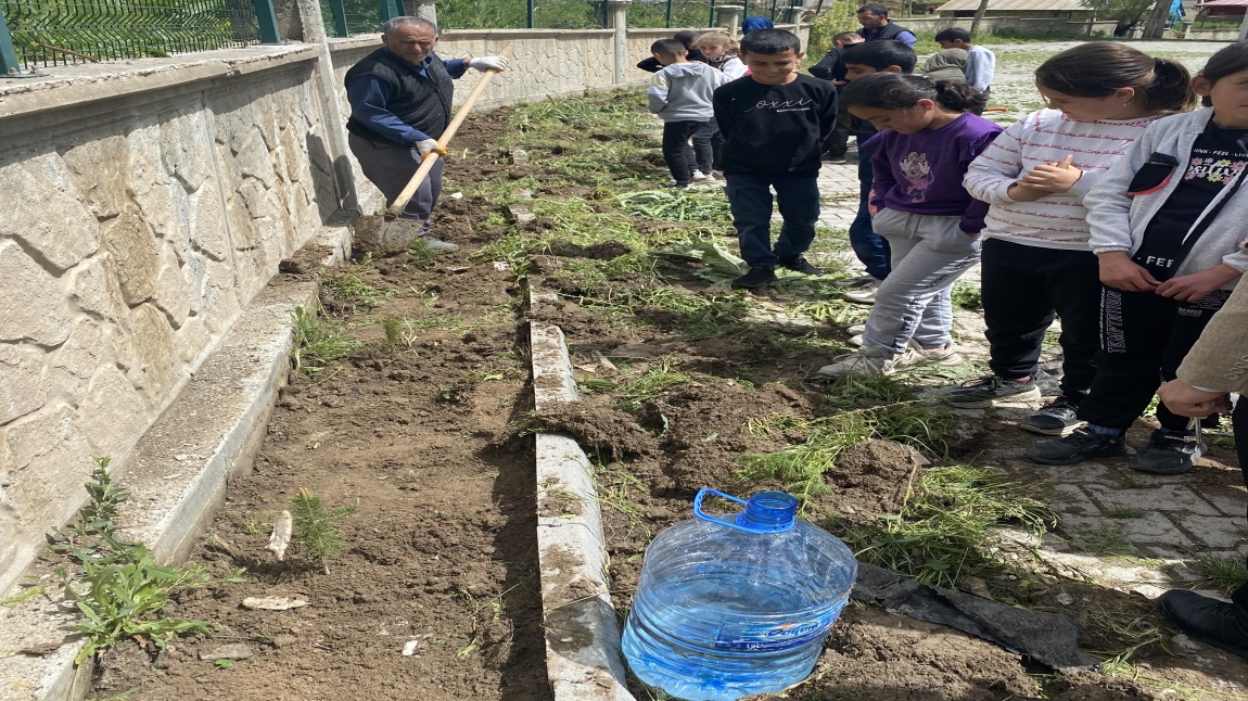 Okulumuzda Fidan Dikme Etkinliği 